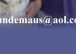 Hundepsychologie